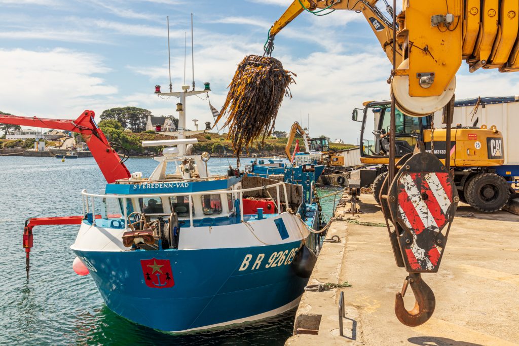 Algen werden im Hafen entladen